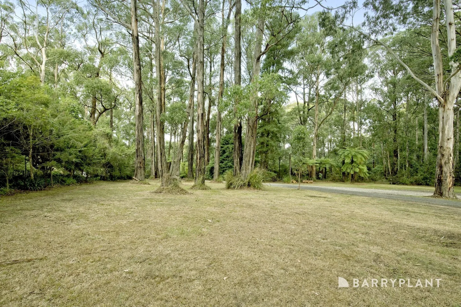 Additional image 21 of 212 Gembrook Road, Gembrook VIC 3783