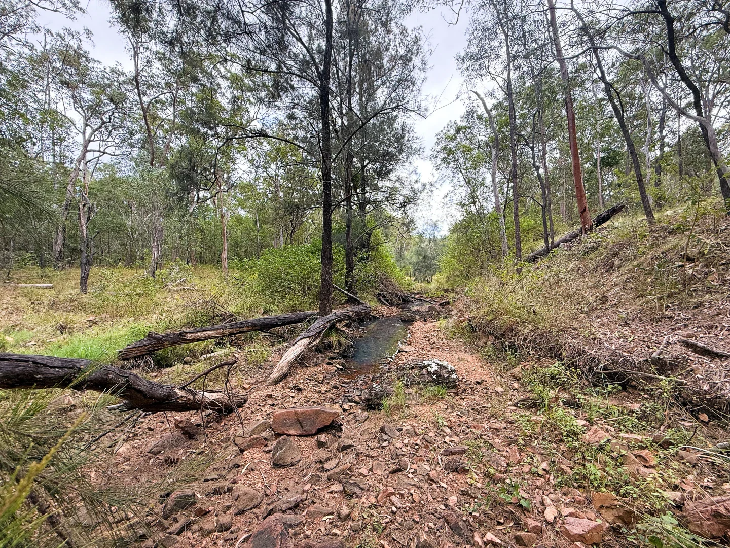 Additional image 16 of Lot 10/931 Nearum Road, Nearum QLD 4671