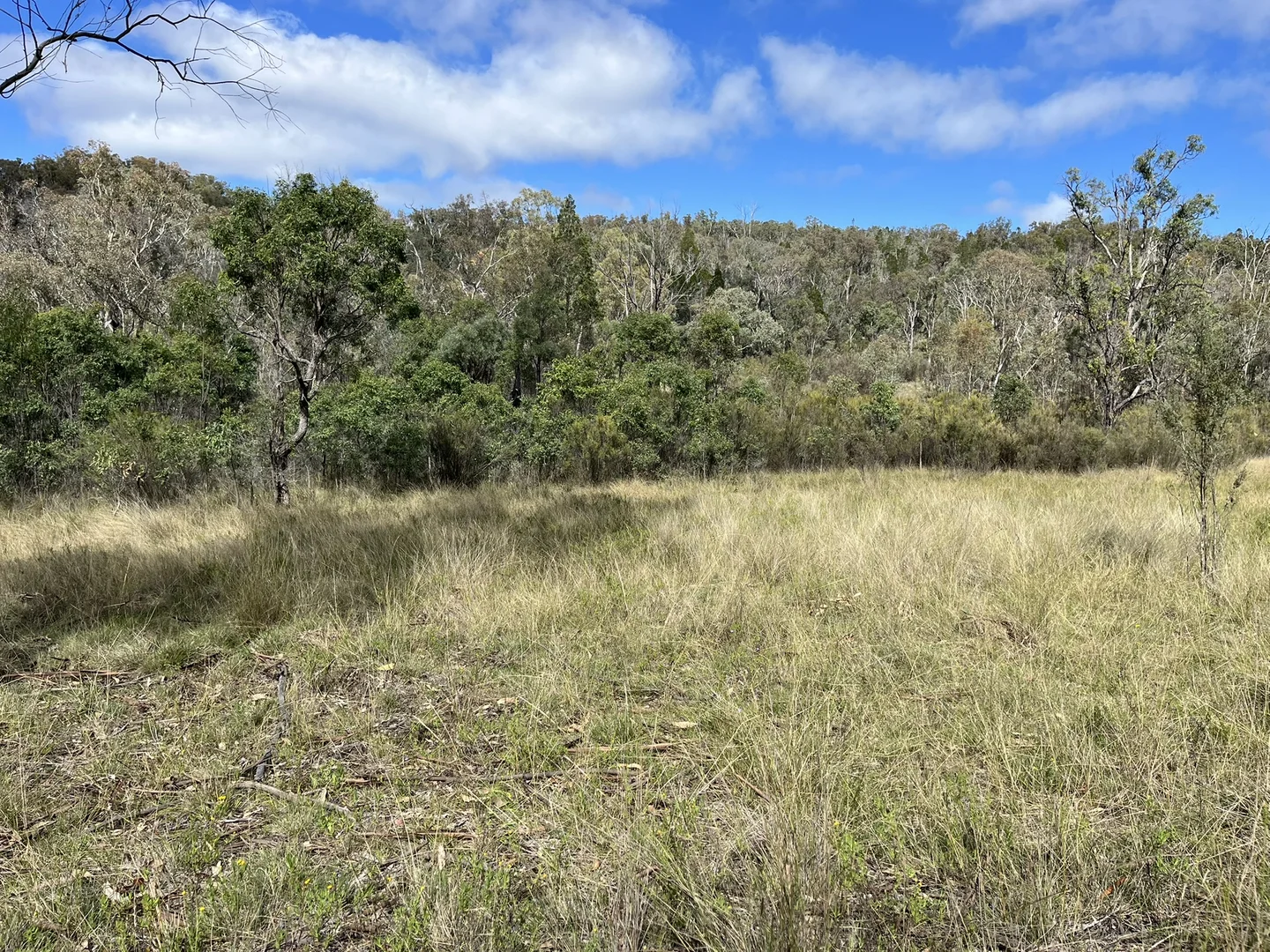 Additional image 17 of Pretty Gully Bendemeer Road, Kingstown NSW 2358