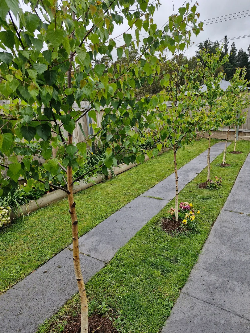 Additional image 35 of 41 Gray Road, St Marys TAS 7215