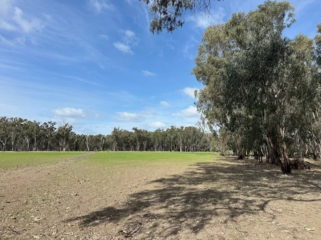 Additional image 12 of 456 RIVER ROAD, Gonn Crossing VIC 3579