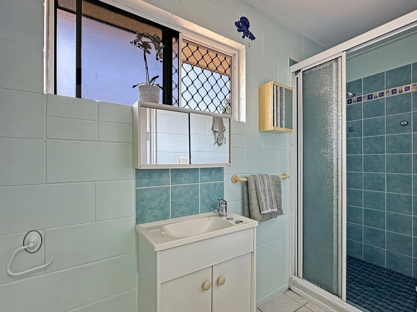 Additional image 37 of 124 Horseshoe Bay Rd, Horseshoe Bay QLD 4819