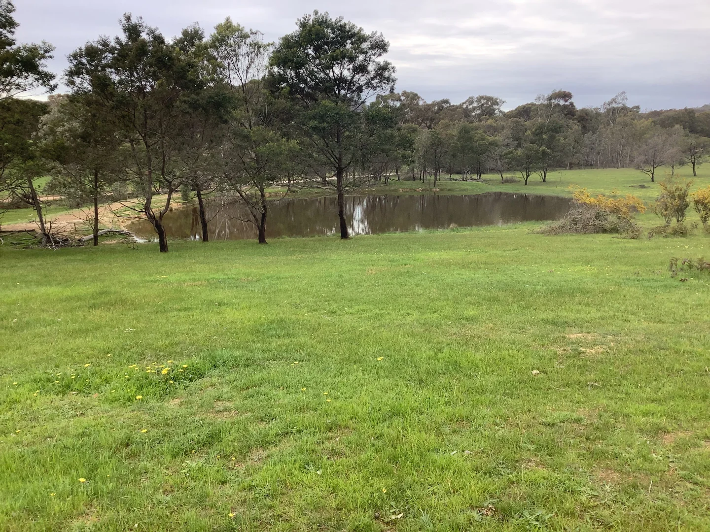 Additional image 4 of 20 Chetwynd Road, Whiteheads Creek VIC 3660