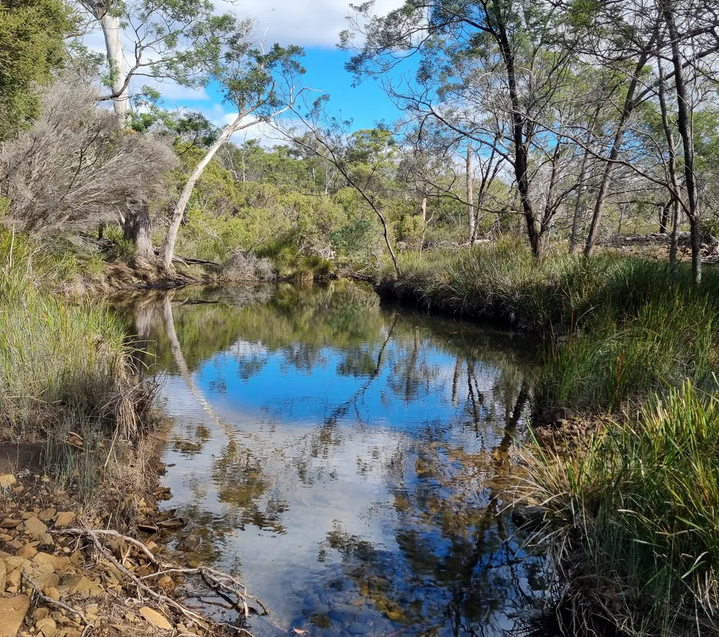 Additional image 15 of 4560 Tasman Highway, Swansea TAS 7190