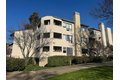 Additional image 17 of 39034 Guardino Dr Apt 206, Fremont, CA, 94538