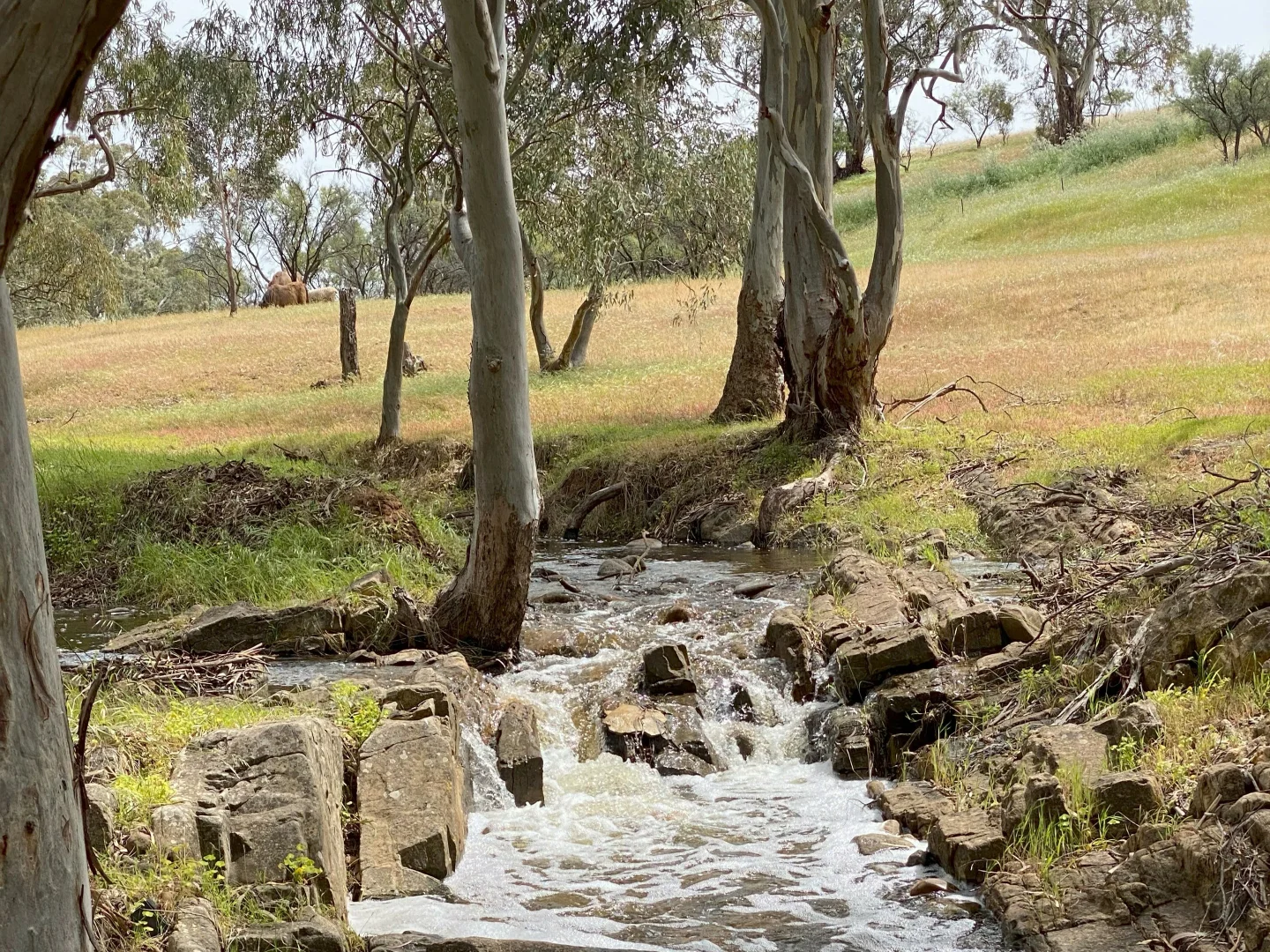 Additional image 29 of 284 Beetaloo Valley Rd, Beetaloo Valley SA 5523