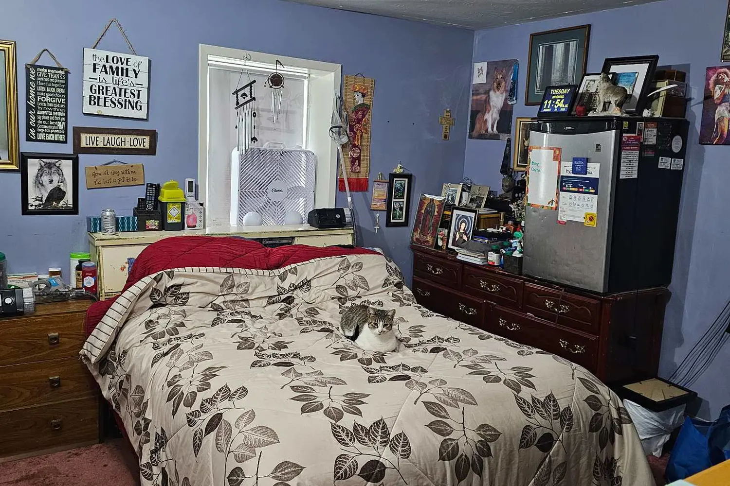 Additional image 13 of 98 Paul Drive