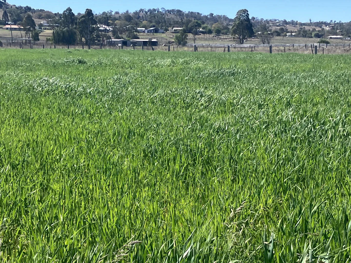 Additional image 17 of 122 Paulsens Road, Gowrie Junction QLD 4352