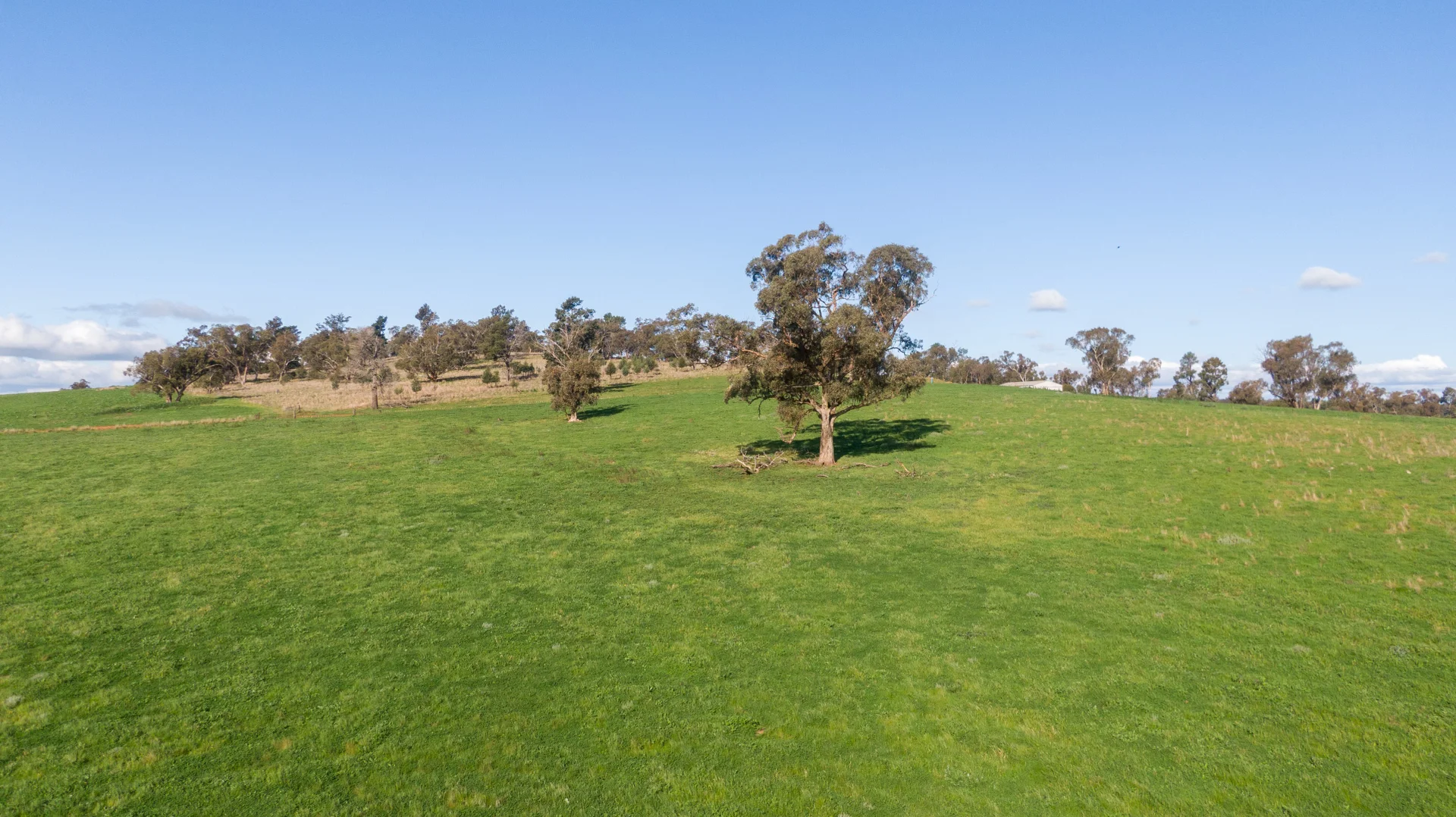 Additional image 6 of Kincora & Poachers Millwood Road, Coolamon NSW 2701