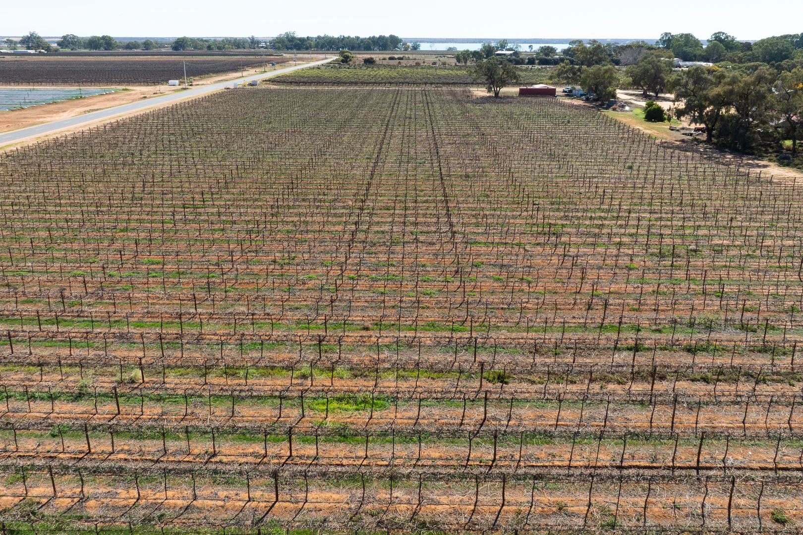 Additional image 9 of Lot 1 Morgan Road, Barmera SA 5345