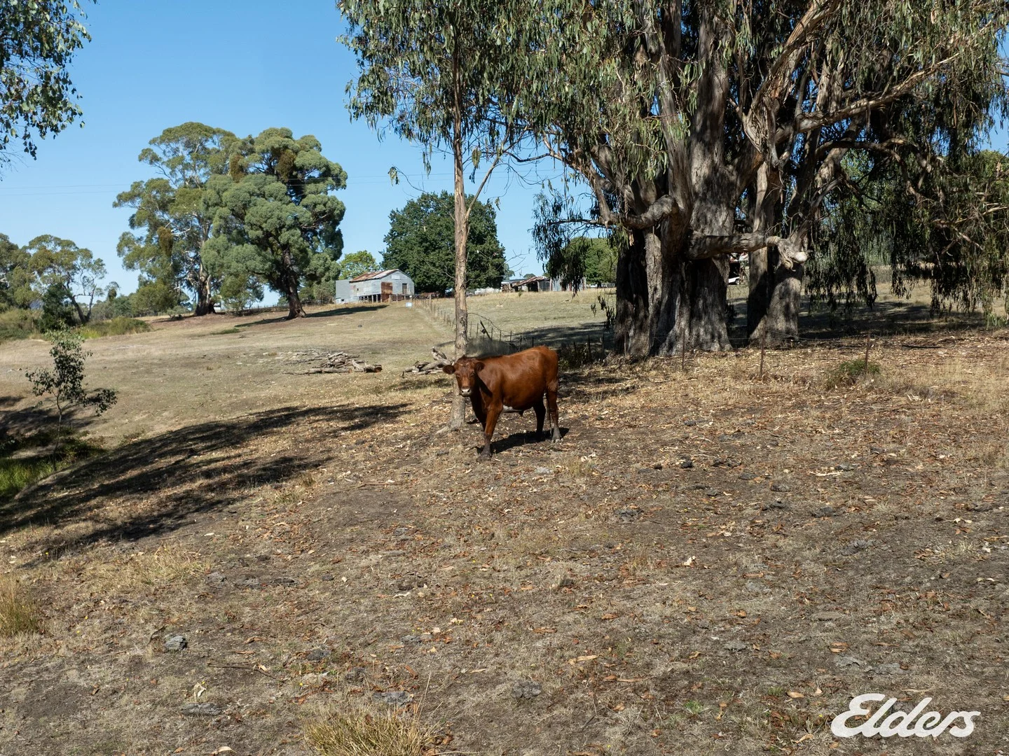 124 Watkins Road, Creek Junction via, Strathbogie VIC 3666