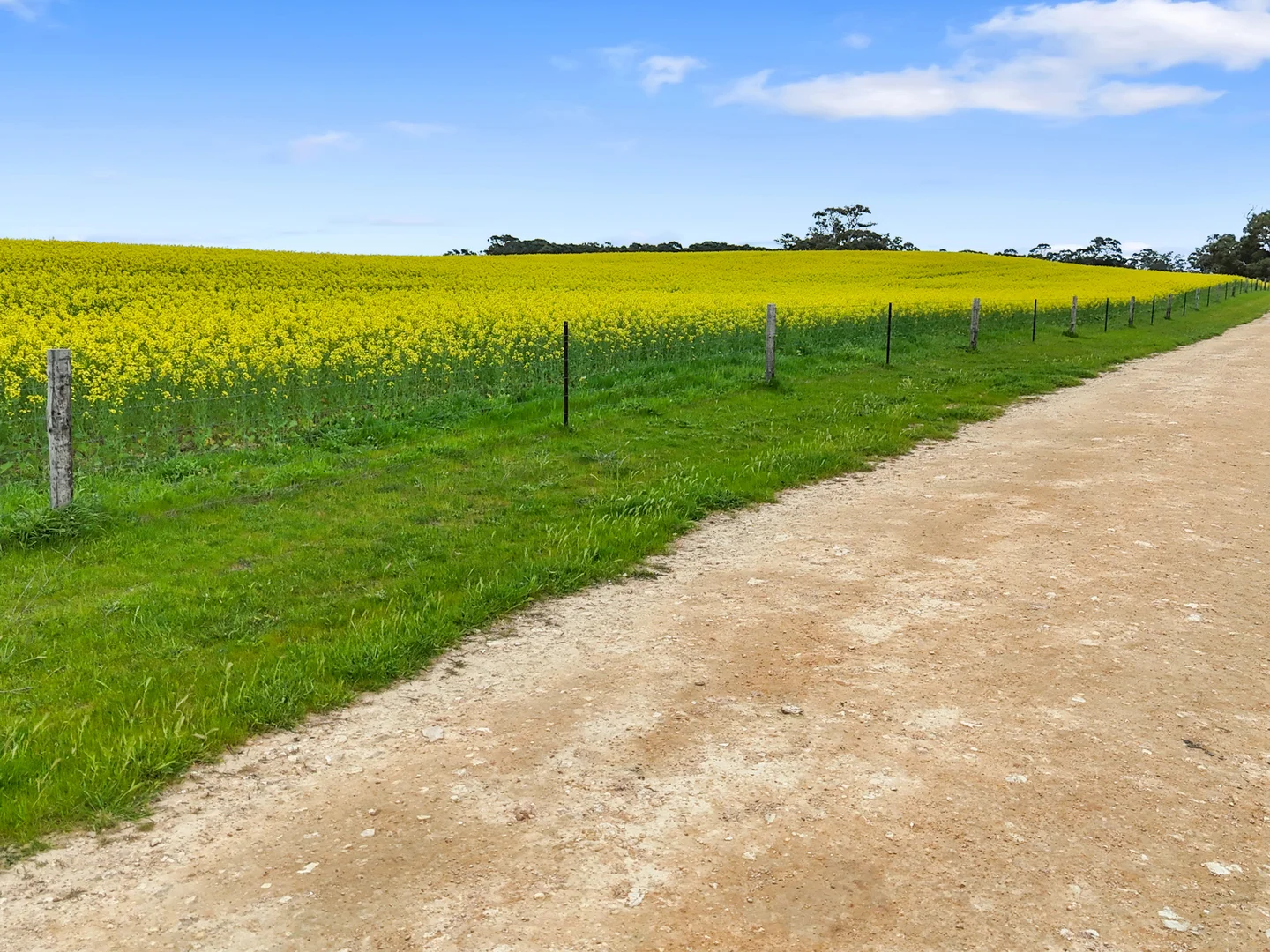 Additional image 7 of 559 Old Stone Tank Road, Mundulla SA 5270
