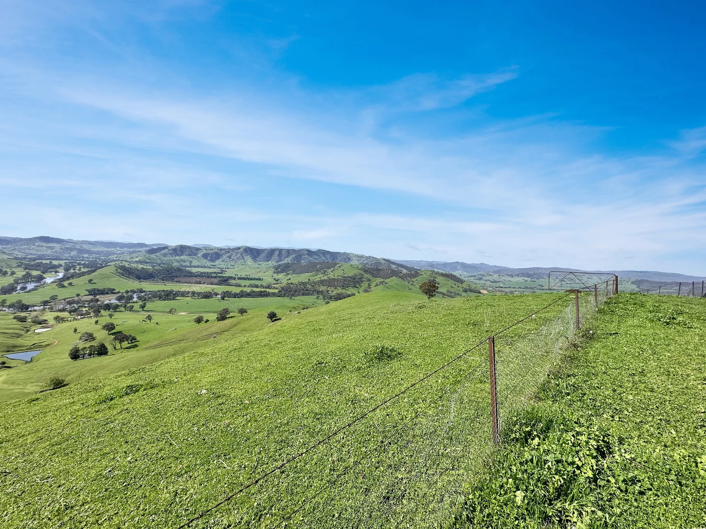 Additional image 3 of 5114 River Road, Jingellic NSW 2642