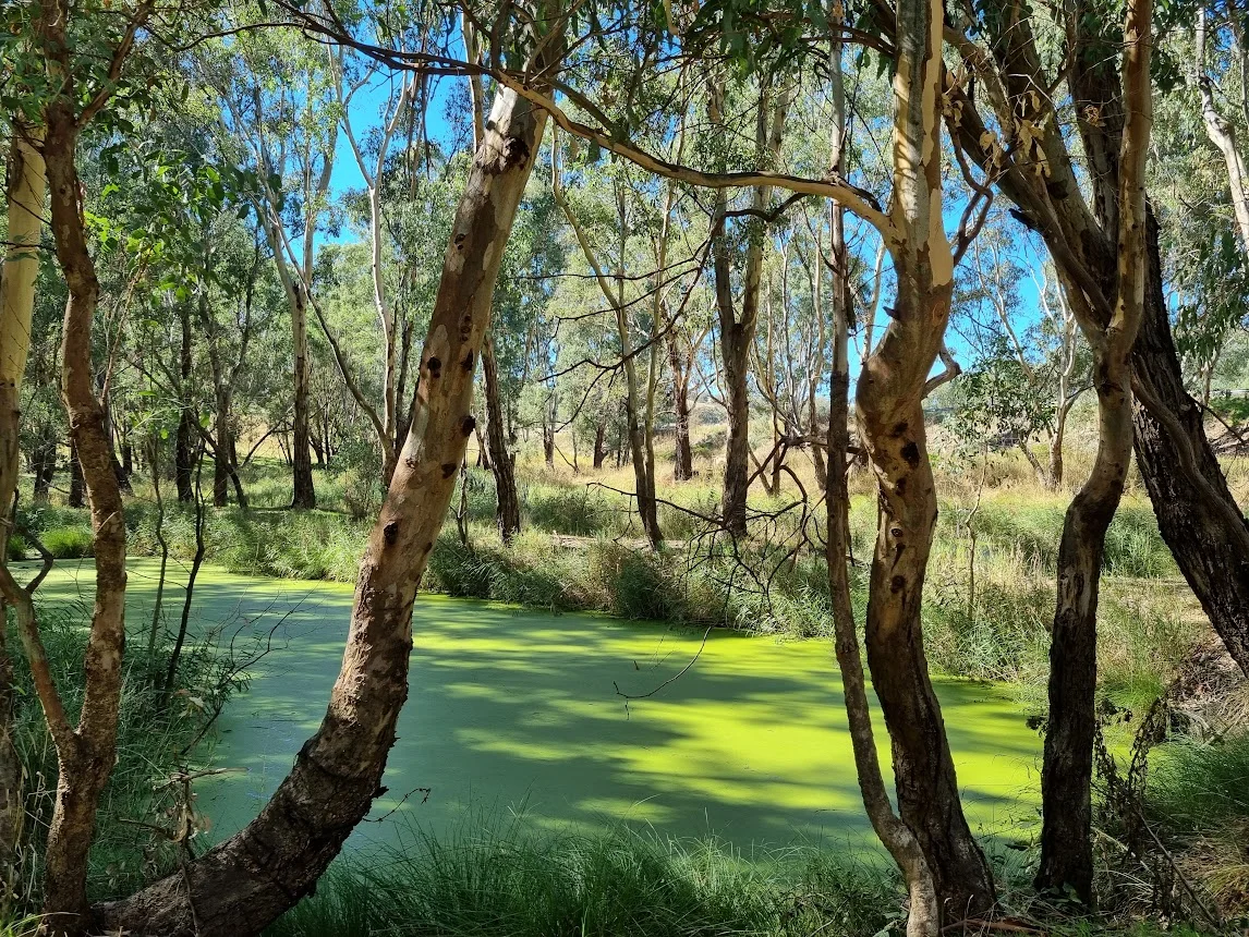 Additional image 29 of 20 Rosedale Road, Gundagai NSW 2722