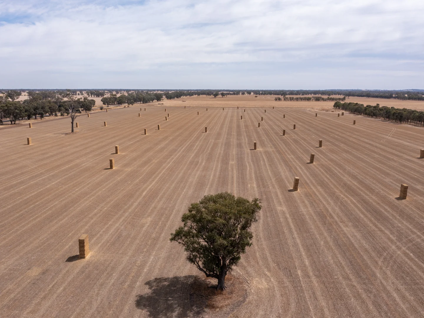 Additional image 8 of CA 60 Federation Way, Springhurst VIC 3682