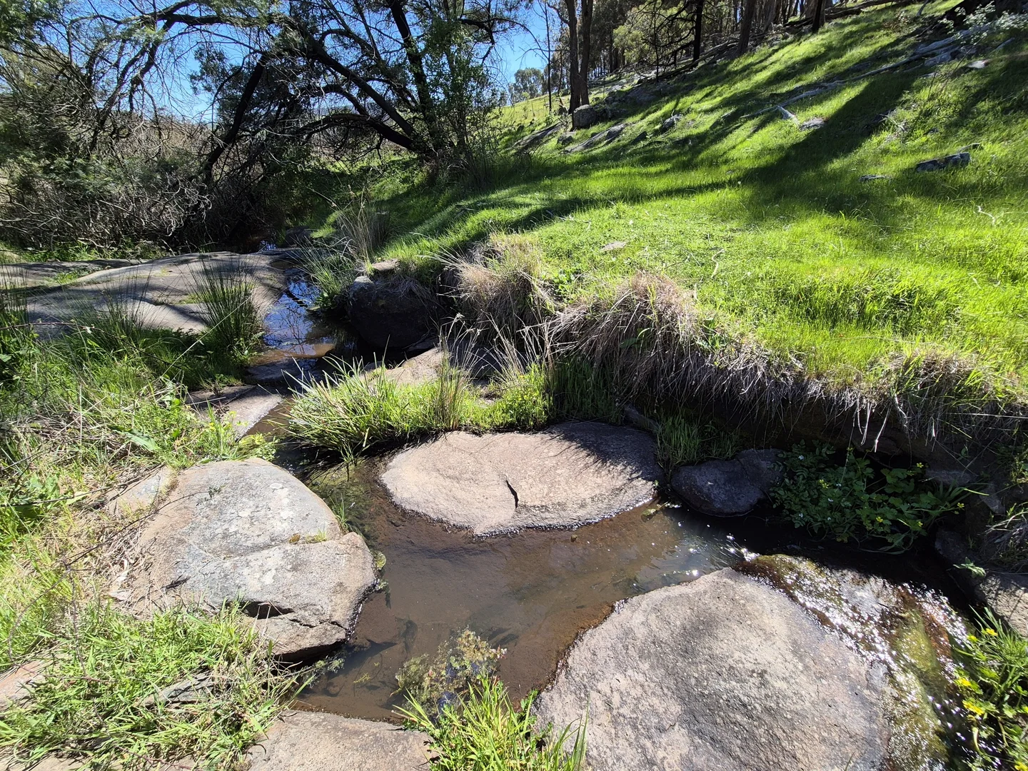 Additional image 19 of 665 Fernhills Road, Marraweeney VIC 3669