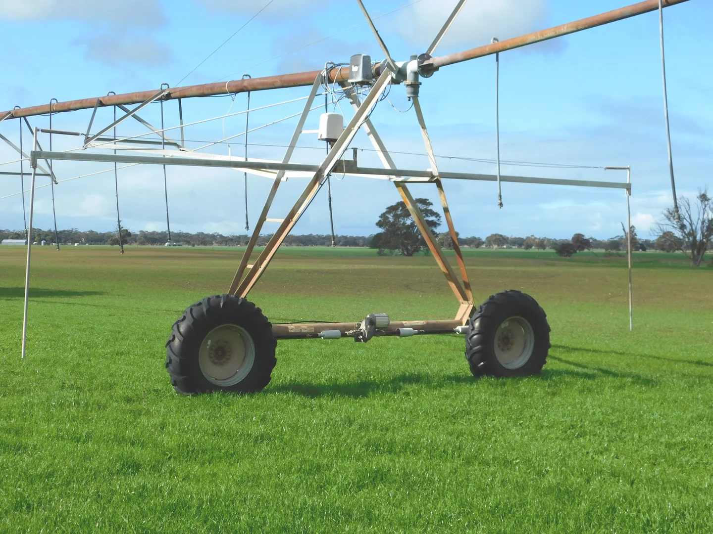 Additional image 3 of 16472 Dukes Hwy, Bordertown SA 5268