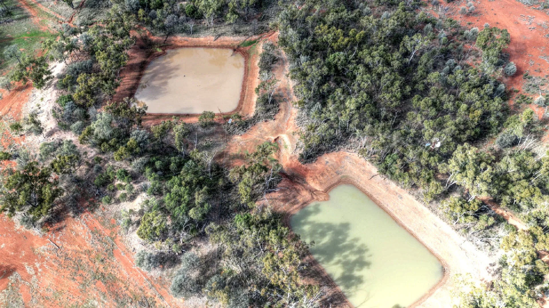 Additional image 7 of "Nardoo" Station 872 Davidson Road, Gunderbooka NSW 2840