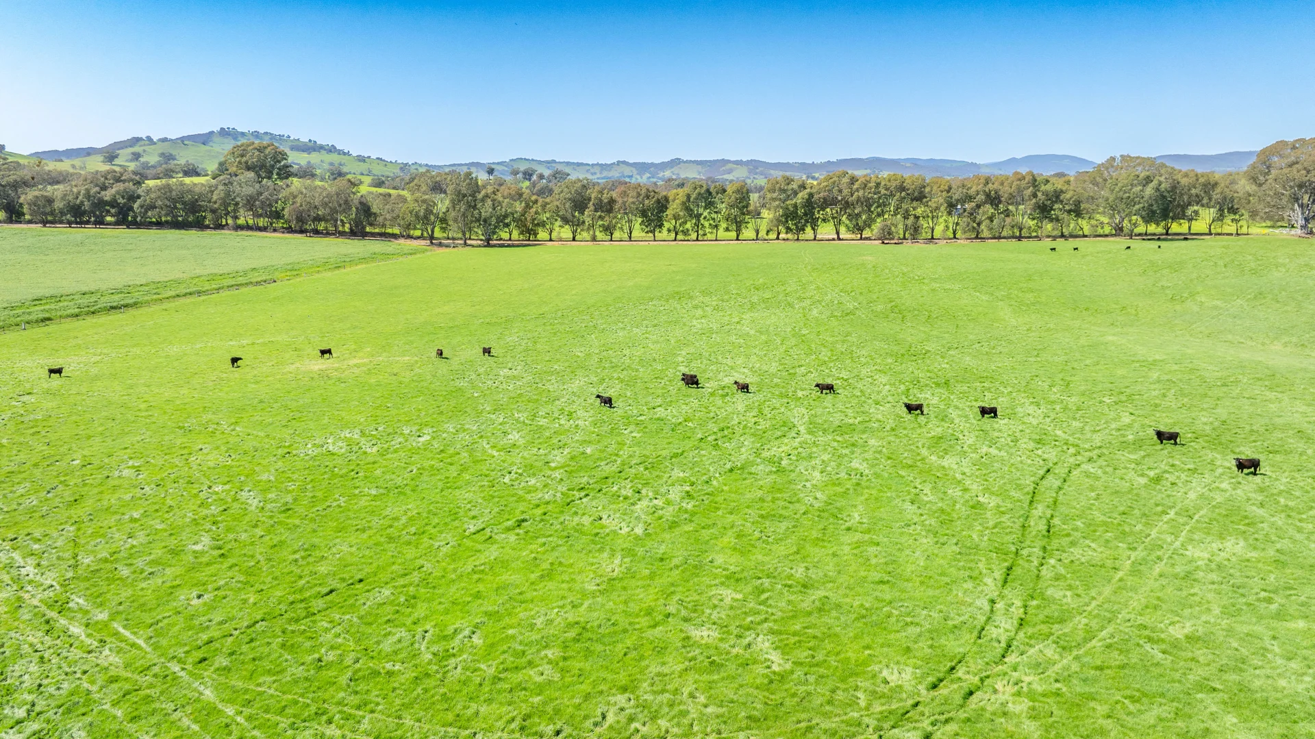 Additional image 27 of 336B Cookinburra Road, Indigo Valley VIC 3688