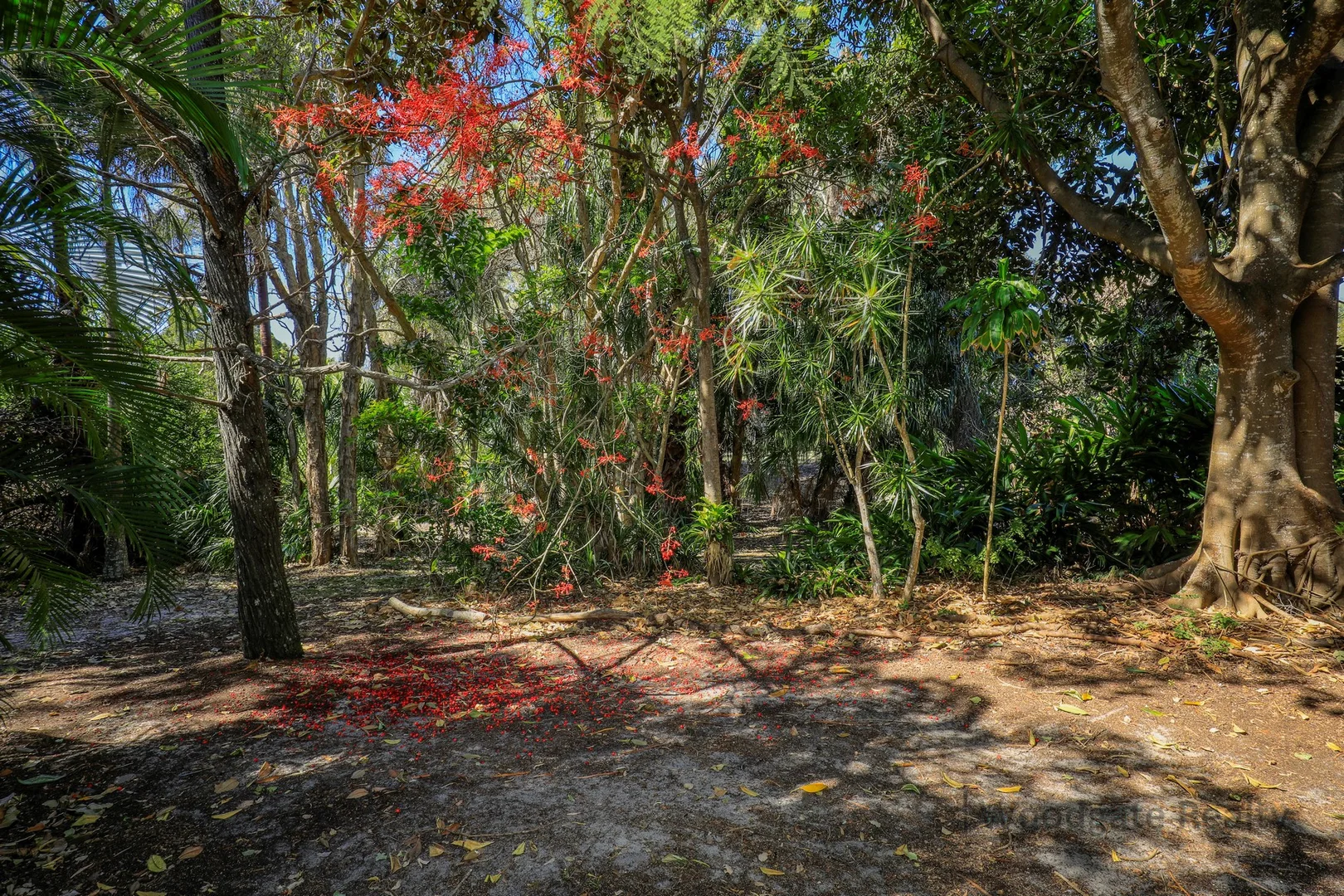 Additional image 30 of 48 FIRST AVENUE, Woodgate QLD 4660