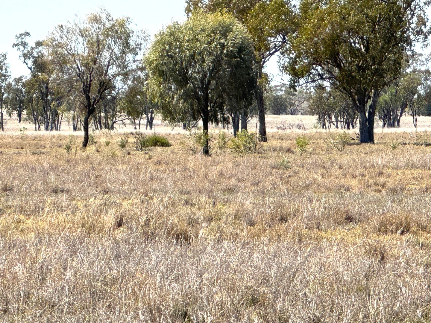 Additional image 4 of 167 Geoghegan Road, Roma QLD 4455