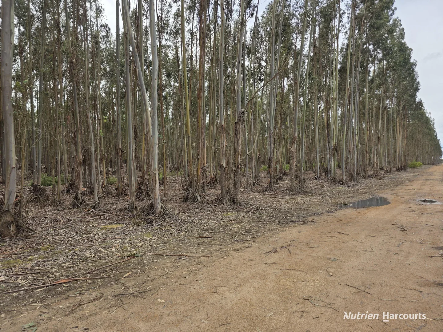 Additional image 12 of 1458 Palmdale Road, Palmdale WA 6328