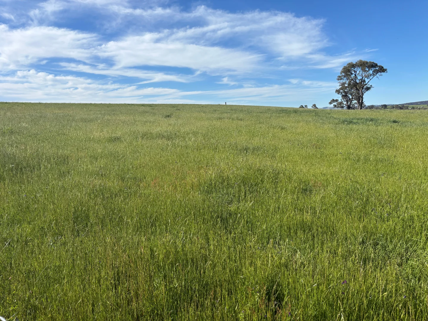 Additional image 26 of 1050 Garland Road, Garland NSW 2797