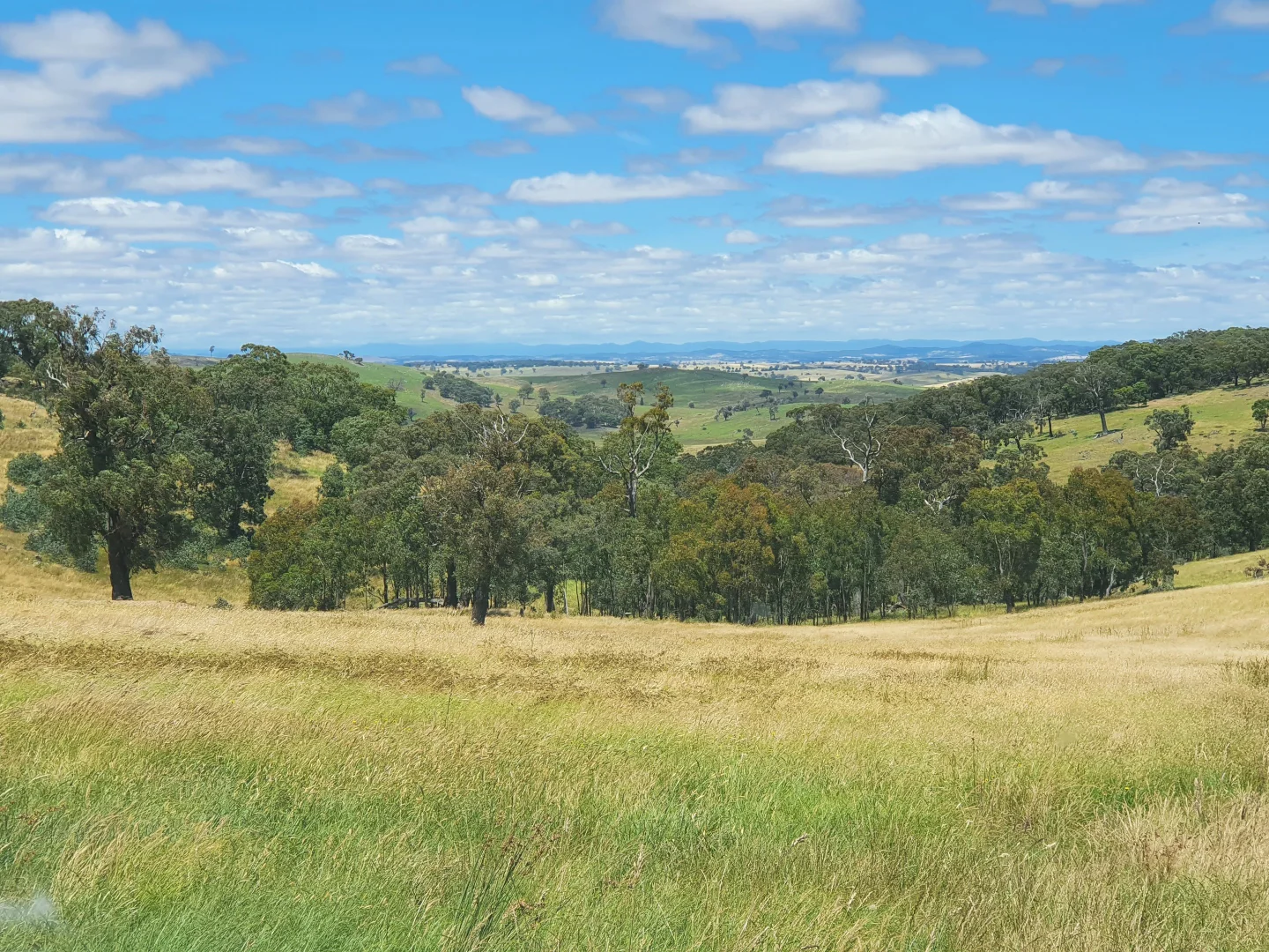 Additional image 8 of 2400 Sapphire Road, Wheeo NSW 2583