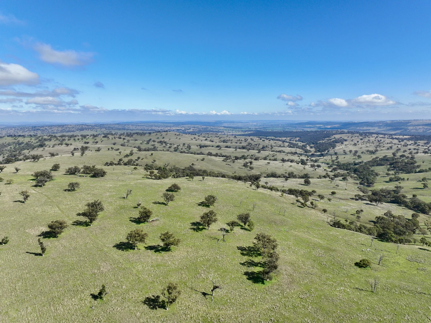 Additional image 33 of "Jemalong" 263 Collier Road, Coolah NSW 2843