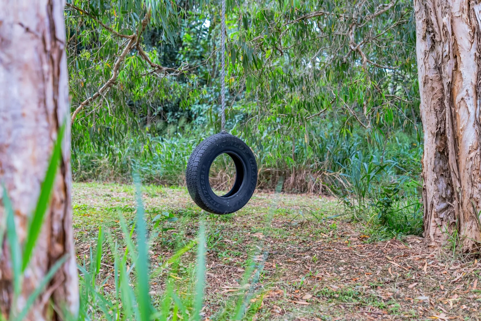 Additional image 29 of 2223 Pine Creek Yarrabah Road, East Trinity QLD 4871