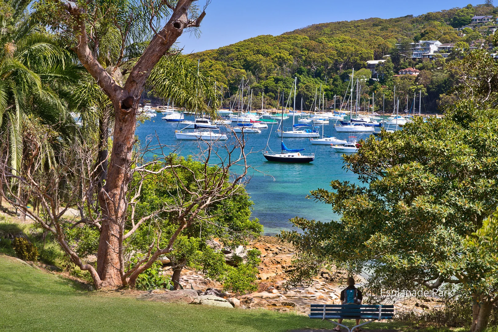 Additional image 10 of 301/48-52 Sydney Road, Manly NSW 2095