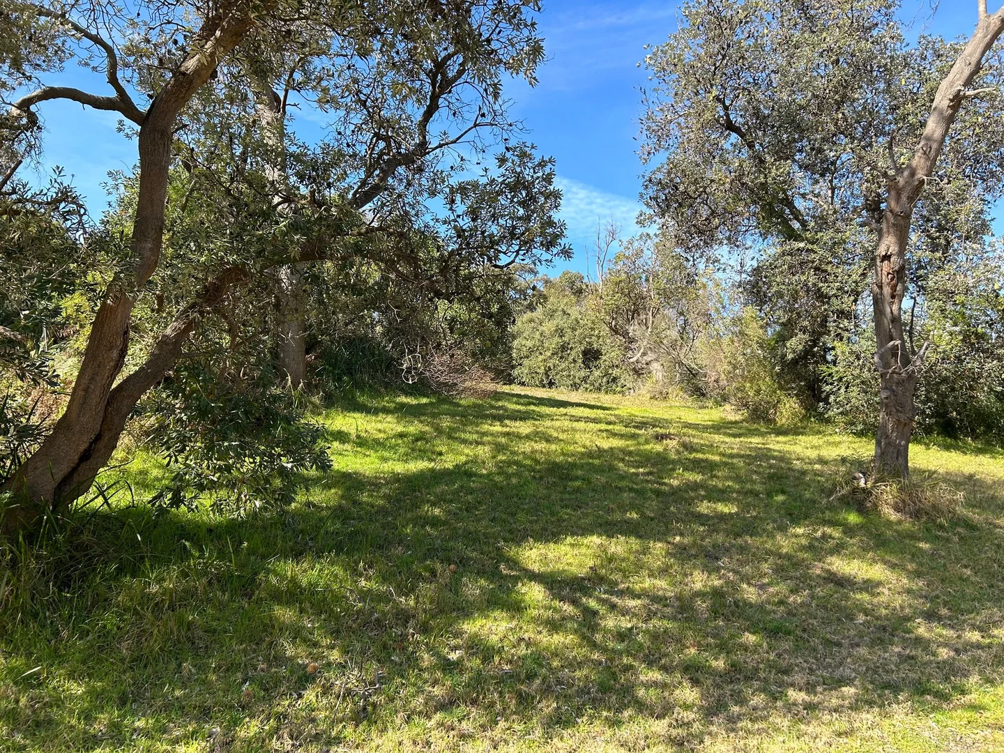 Additional image 2 of 8 ALFRED CRESCENT, Venus Bay VIC 3956