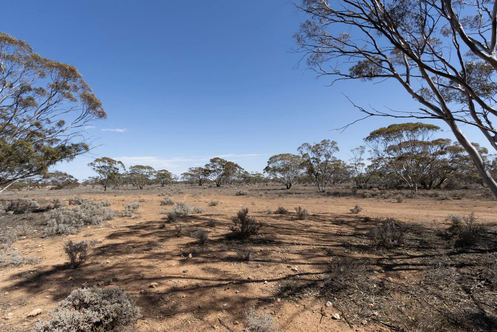 Additional image 13 of Lot 35 Schwerdt Road, Bower SA 5374