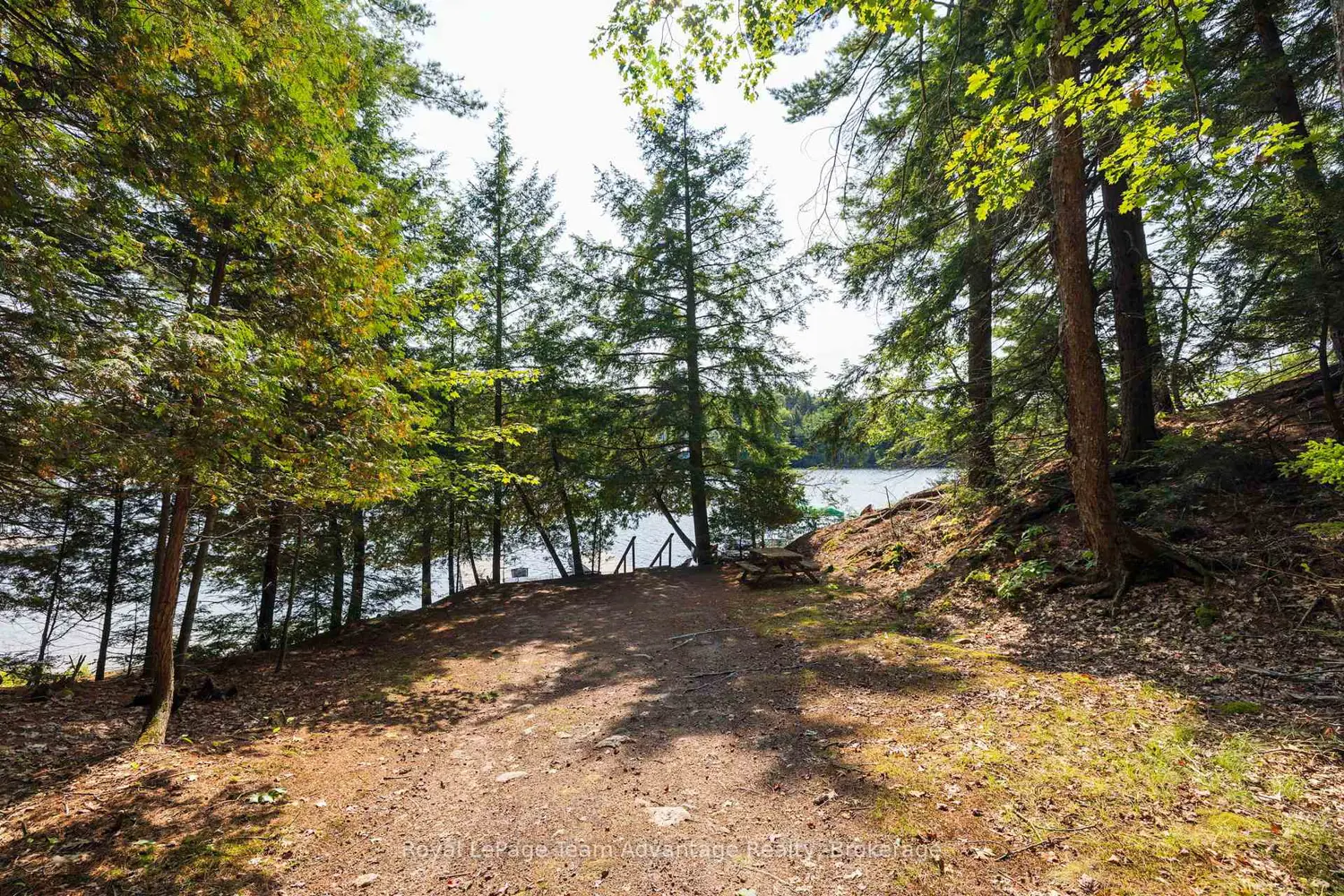 Additional image 11 of 11 Veronica Gene Lane