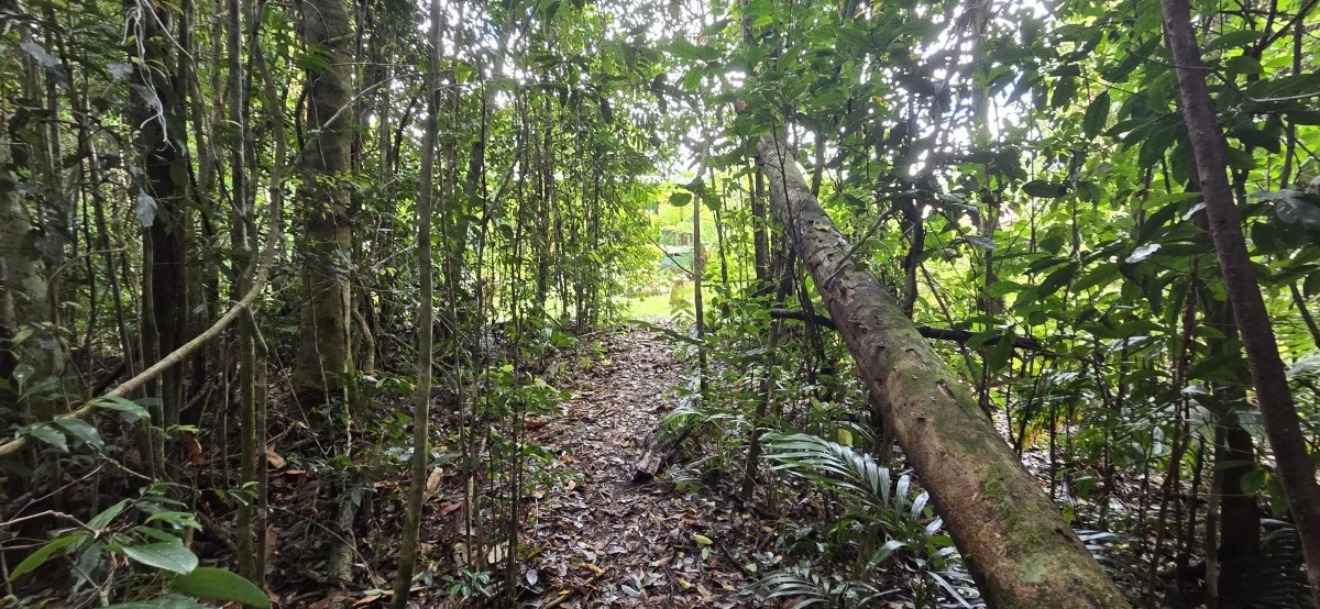 Additional image 24 of 6 Lennox Crescent, Paluma QLD 4816