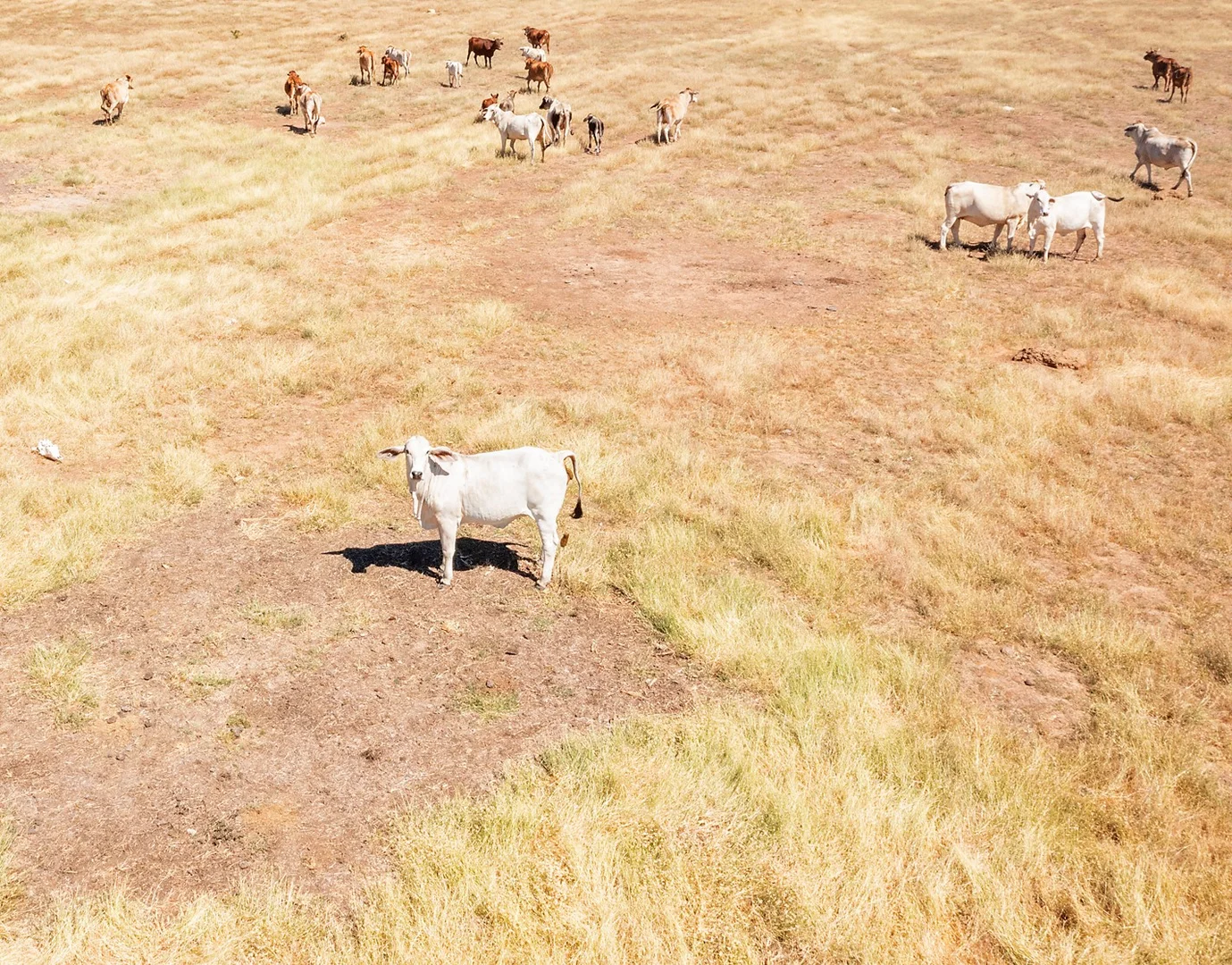 Additional image 17 of Great Northern Highway, Derby WA 6728