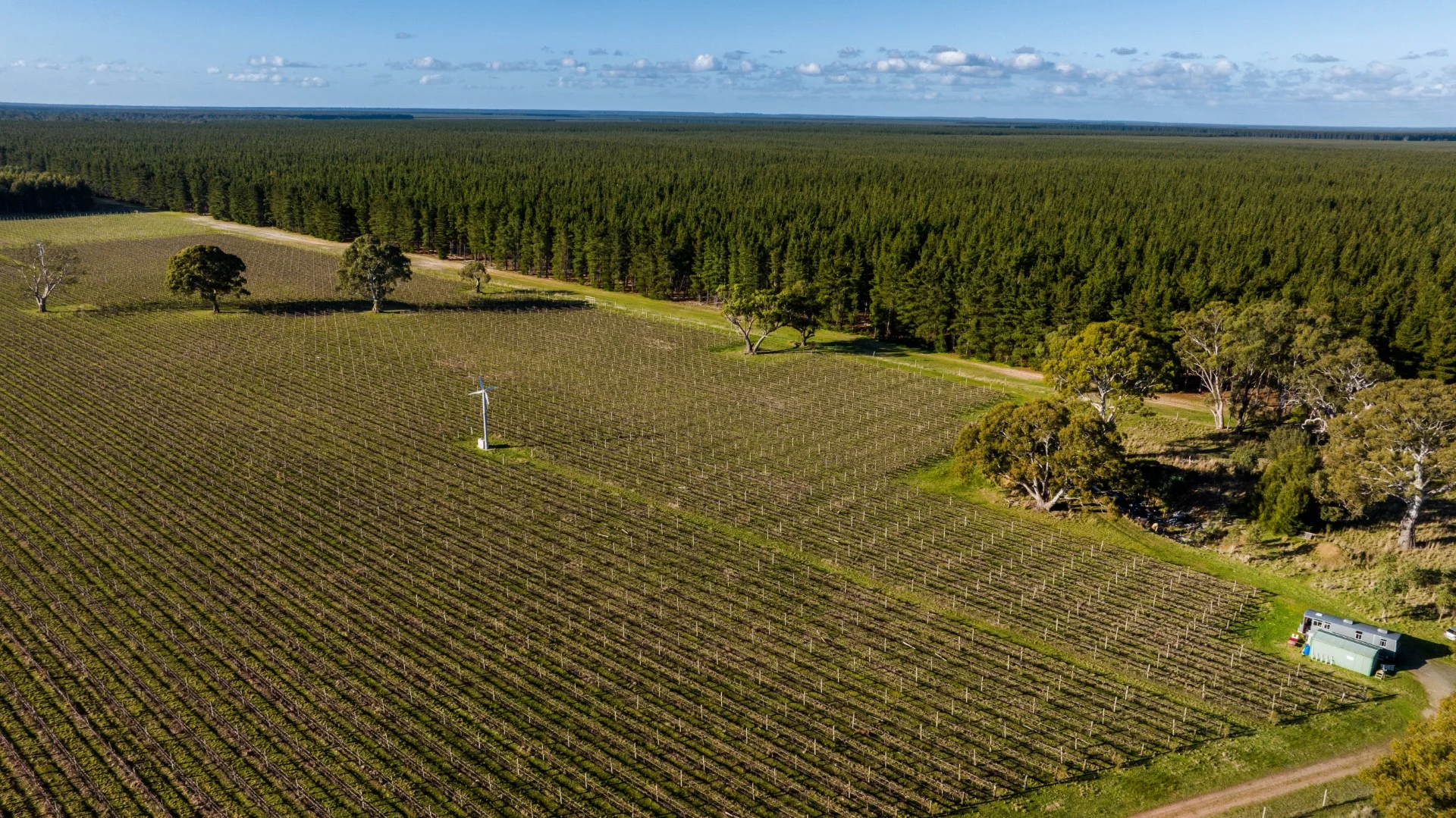 Additional image 4 of 719 Casterton Road, Penola SA 5277