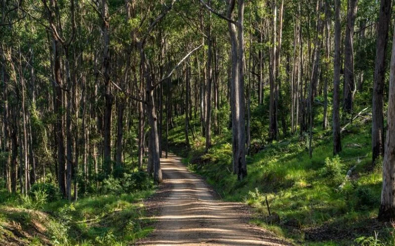 Additional image 5 of 224 Wallaroo Range Road, Willsons Downfall NSW 2372