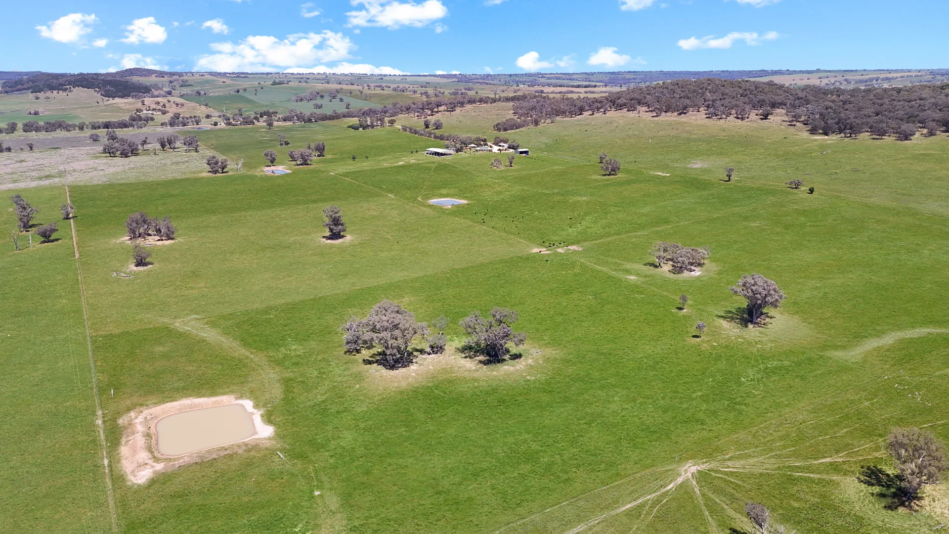 Additional image 5 of 3374 Murringo Road, Young NSW 2594