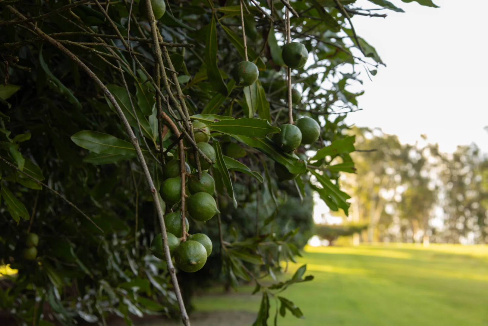 Additional image 27 of 29 Woodrows Road, Glass House Mountains QLD 4518