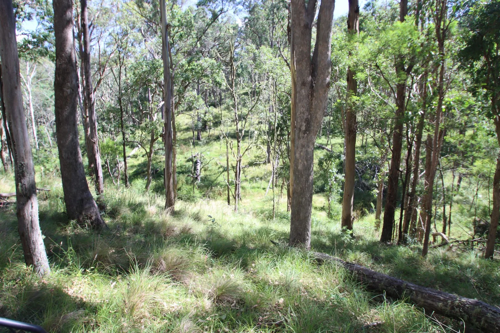 Additional image 6 of 1465 Billirimba Road, Tenterfield NSW 2372