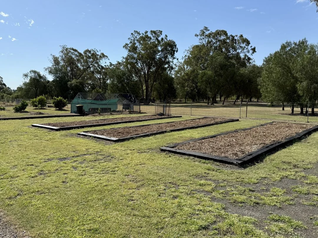 Additional image 16 of 155 River Road, Pallamallawa NSW 2399