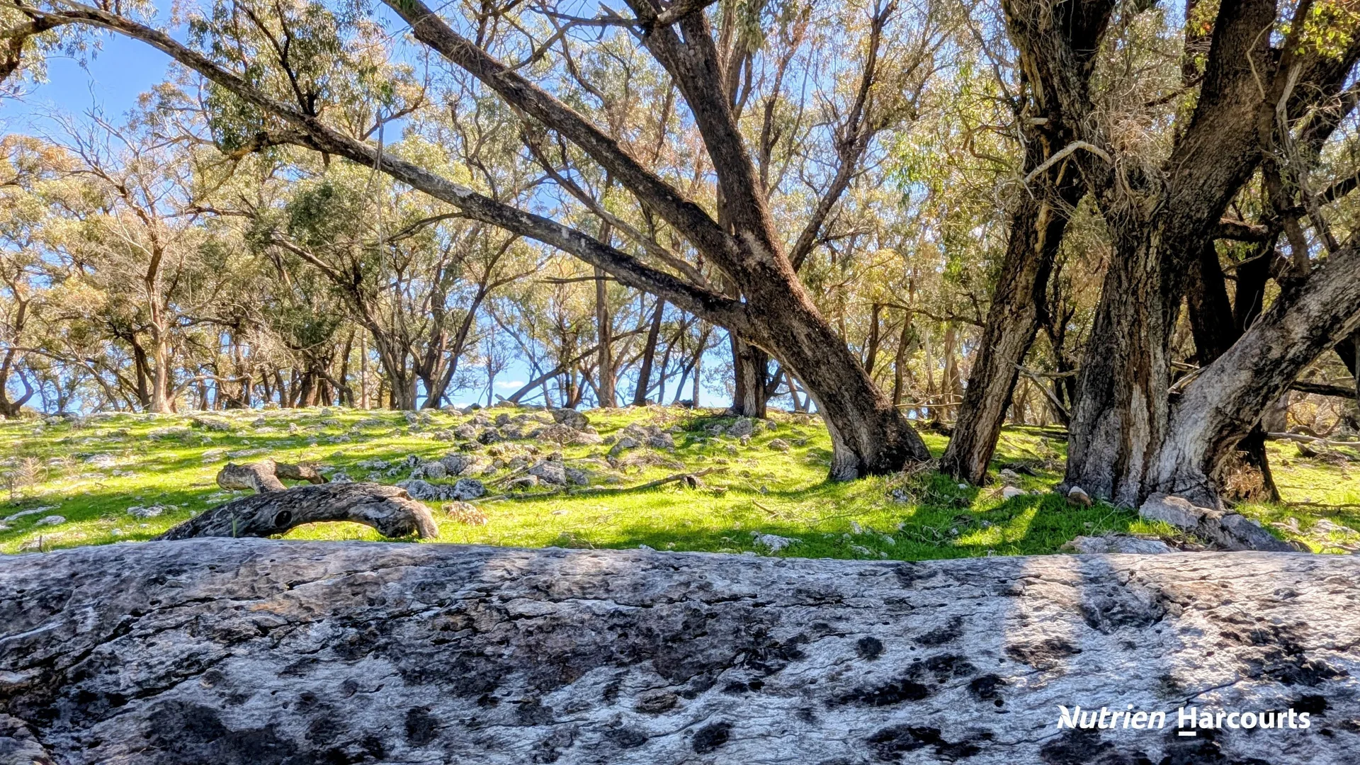 Additional image 34 of Lot 53 Cowalla Road, Cowalla WA 6503