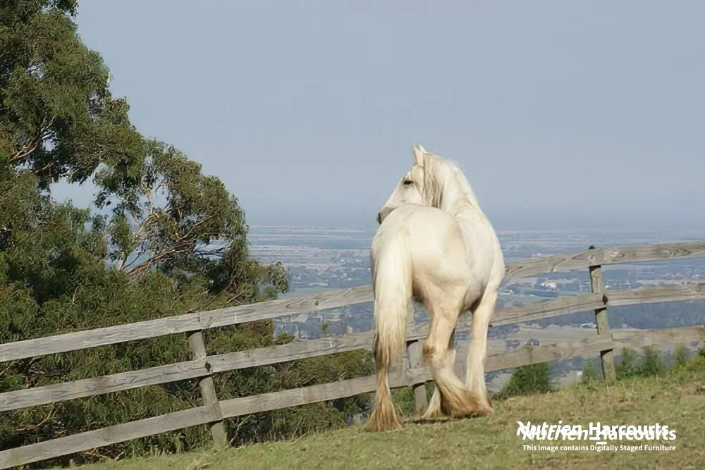 Additional image 4 of 482 Old Whitelaws Track, Devon North VIC 3971
