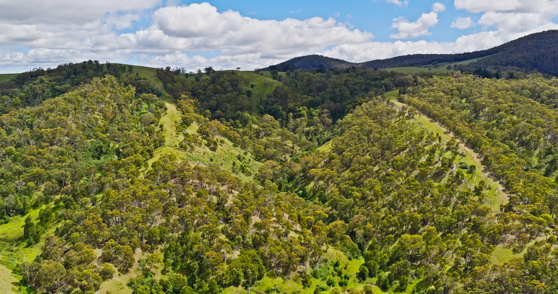 Additional image 20 of Lot 3 - 289 Tongio Gap Road, Tongio VIC 3896