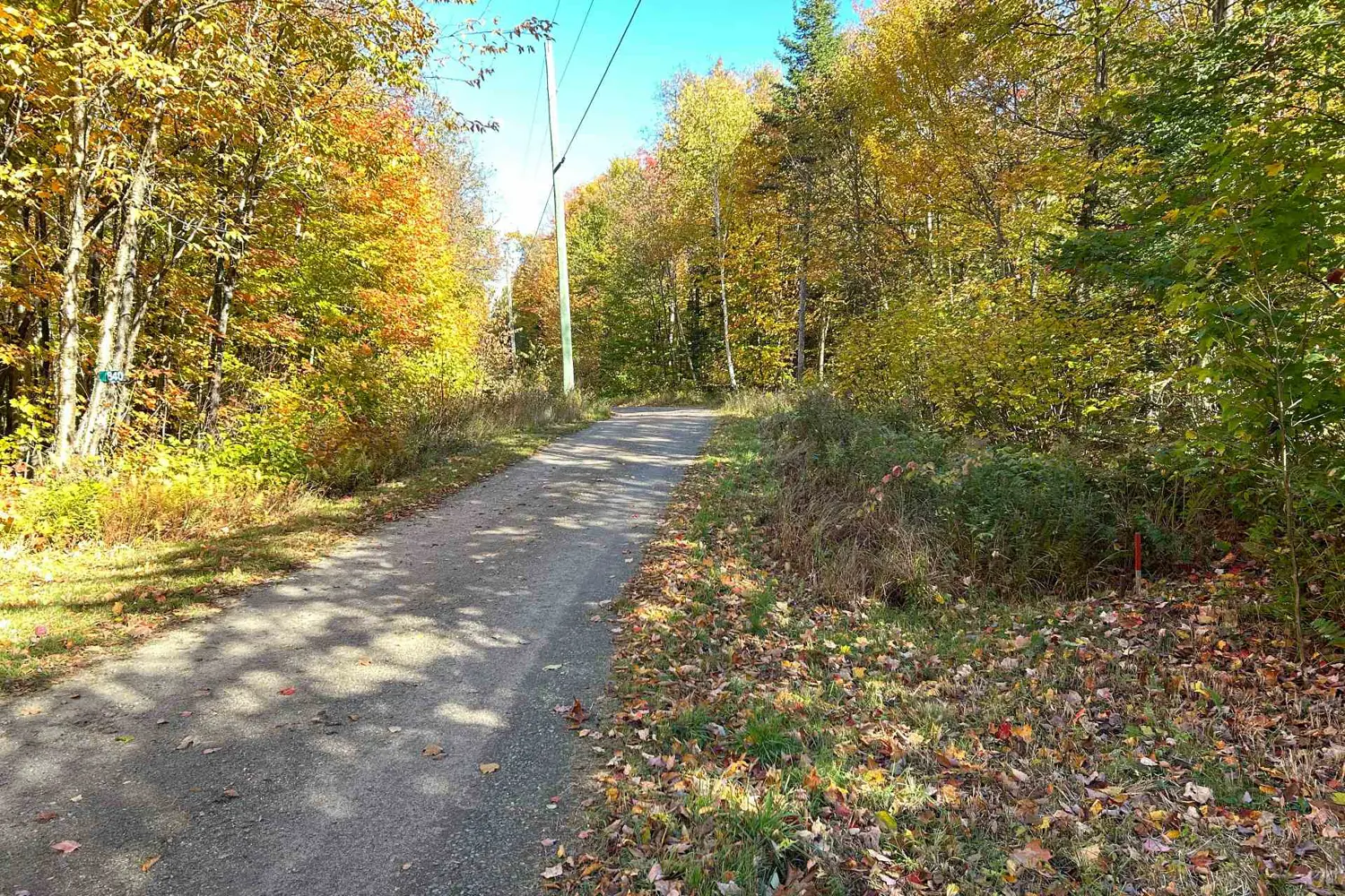 Additional image 3 of 833 Hamilton Lake Road