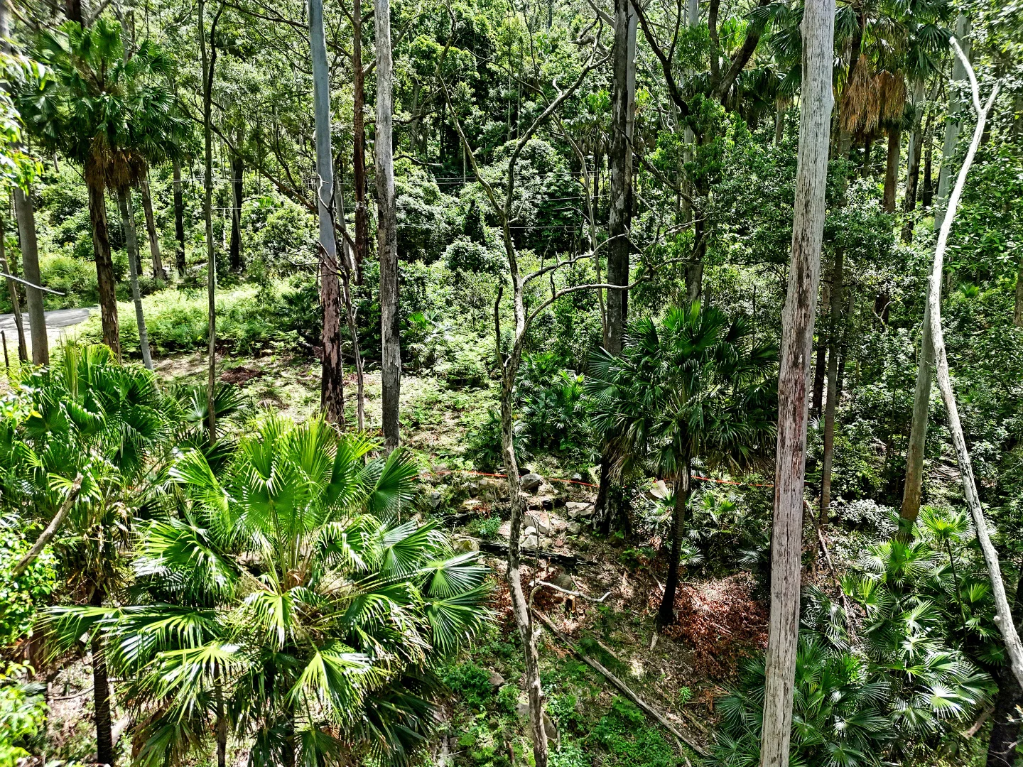 Additional image 9 of 826 Mount Scanzi Road, Kangaroo Valley NSW 2577