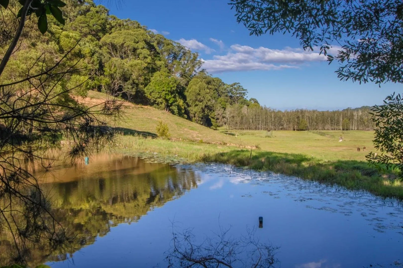 Additional image 34 of Mcauleys Road, Terranora NSW 2486