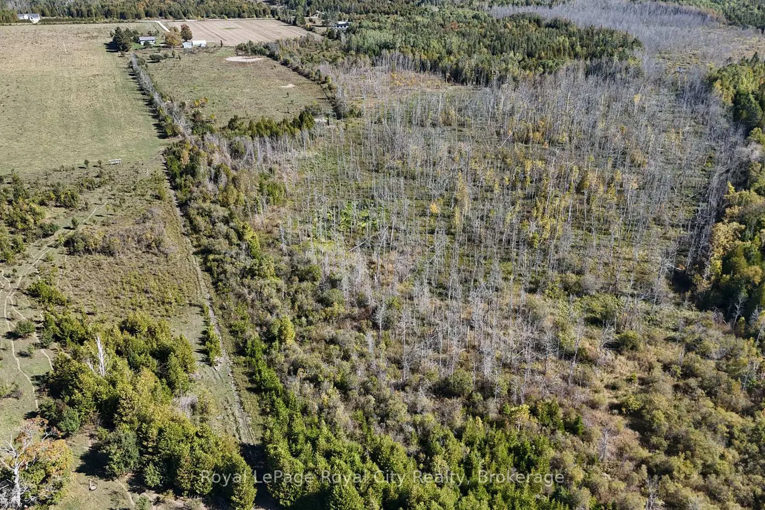 Additional image 4 of 2 Belrose Road