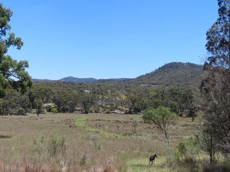 Additional image 16 of Bents Road, Ballandean QLD 4382